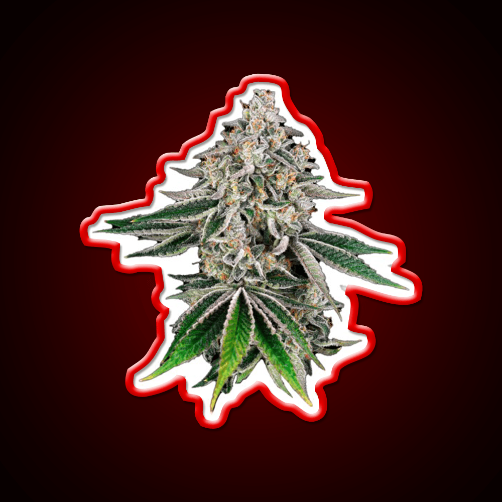 Plant Hemp Inspired Green Leaf Led Neon Sign Rgb Color - Shineneon