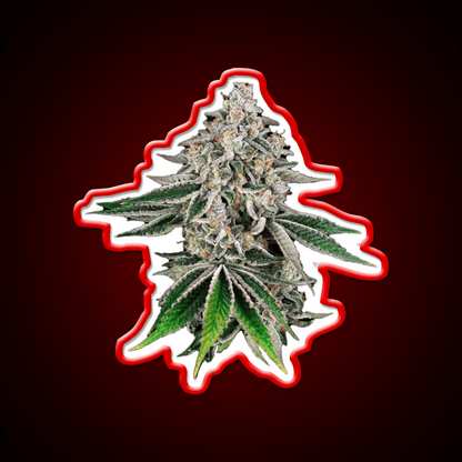 Plant Hemp Inspired Green Leaf Led Neon Sign Rgb Color - Shineneon