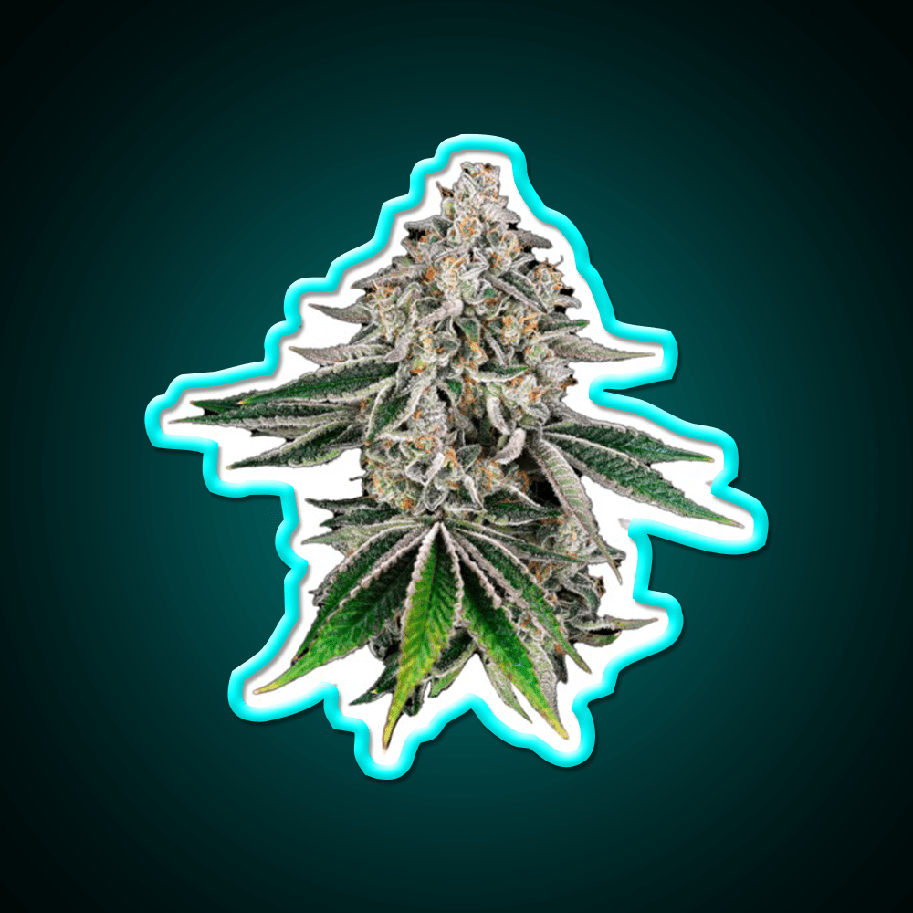 Plant Hemp Inspired Green Leaf Led Neon Sign Rgb Color - Shineneon