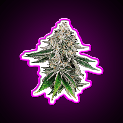 Plant Hemp Inspired Green Leaf Led Neon Sign Rgb Color - Shineneon