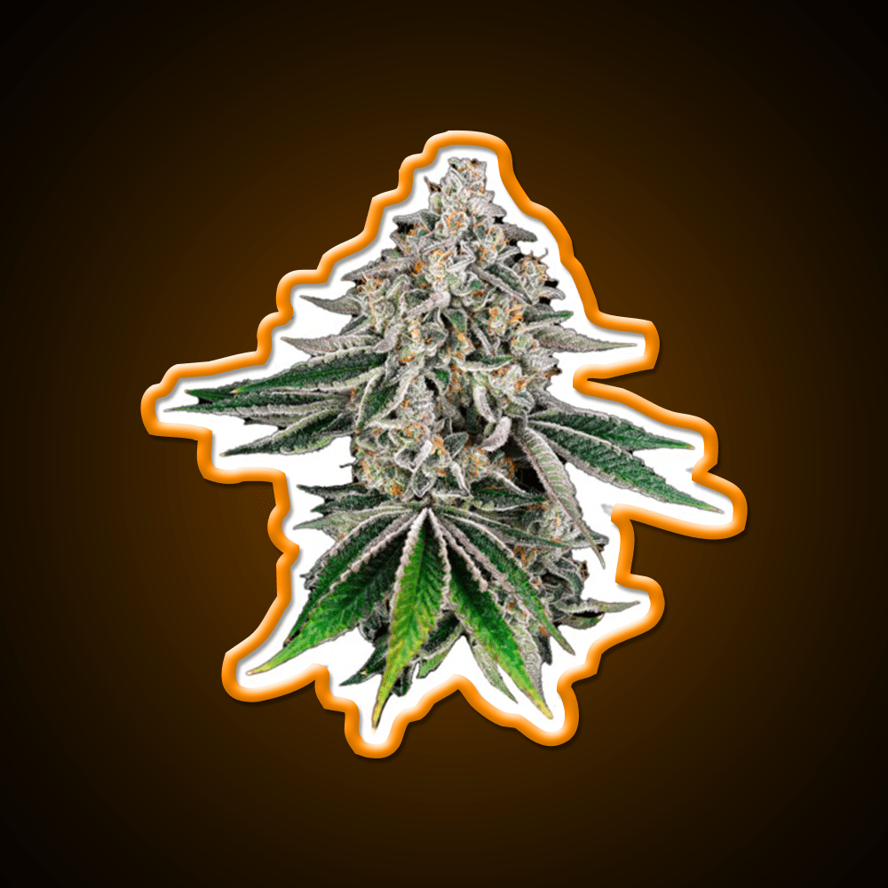 Plant Hemp Inspired Green Leaf Led Neon Sign Rgb Color - Shineneon