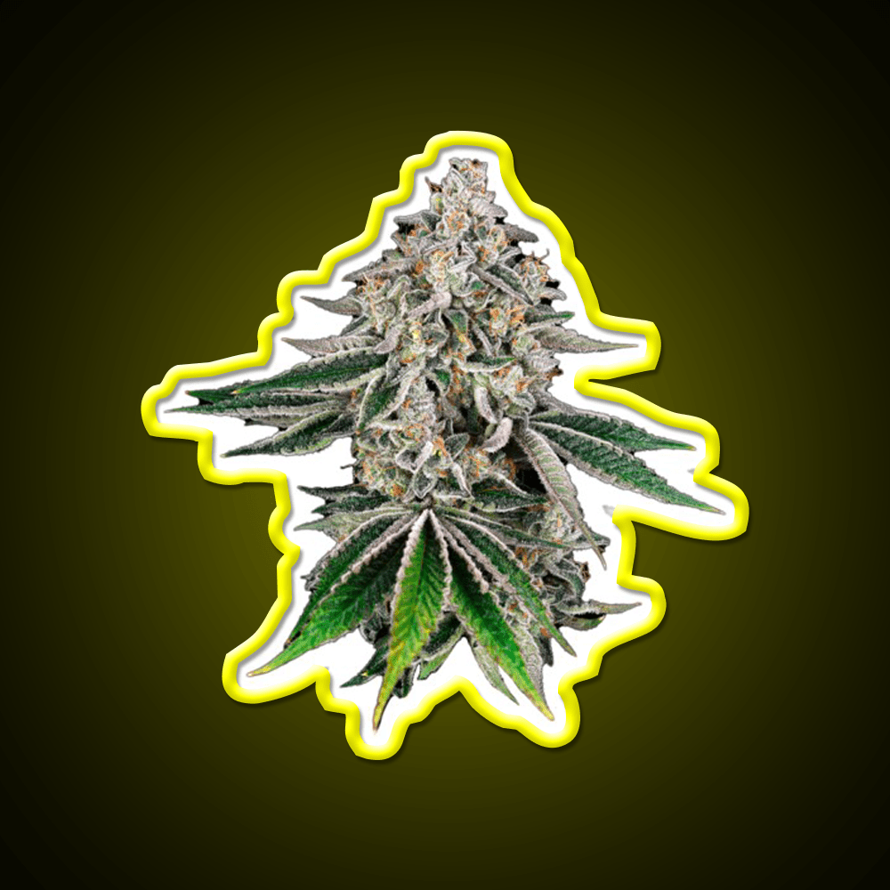 Plant Hemp Inspired Green Leaf Led Neon Sign Rgb Color - Shineneon
