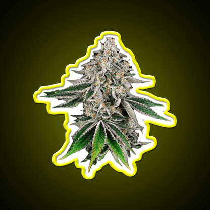 Plant Hemp Inspired Green Leaf Led Neon Sign Rgb Color - Shineneon