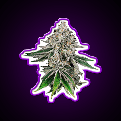 Plant Hemp Inspired Green Leaf Led Neon Sign Rgb Color - Shineneon