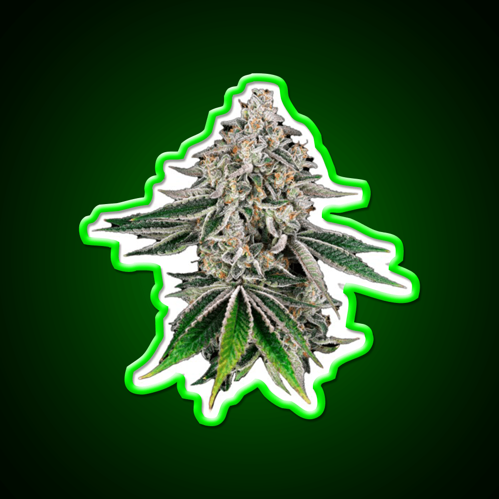 Plant Hemp Inspired Green Leaf Led Neon Sign Rgb Color - Shineneon