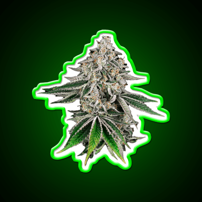 Plant Hemp Inspired Green Leaf Led Neon Sign Rgb Color - Shineneon