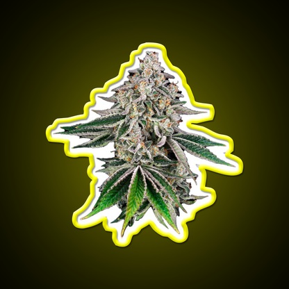 Plant Hemp Inspired Green Leaf Led Neon Sign Rgb Color - LED neon sign view 7