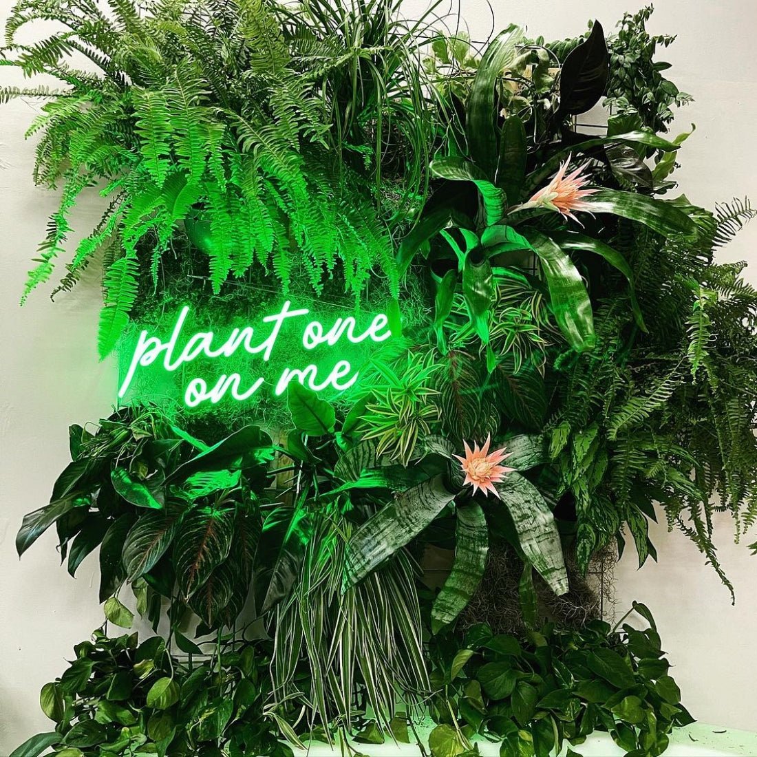 Plant One On Me Led Sign Business Neon Sign - Shineneon