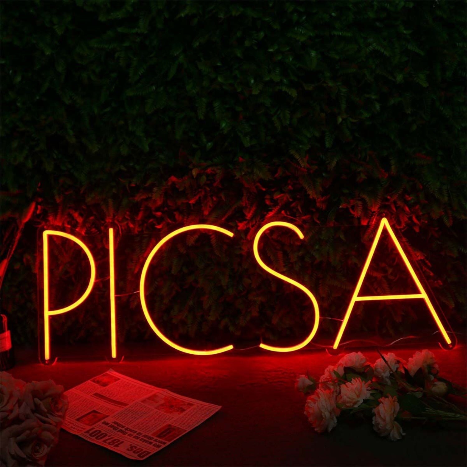 Plcsa Red Led Neon Sign - Shineneon