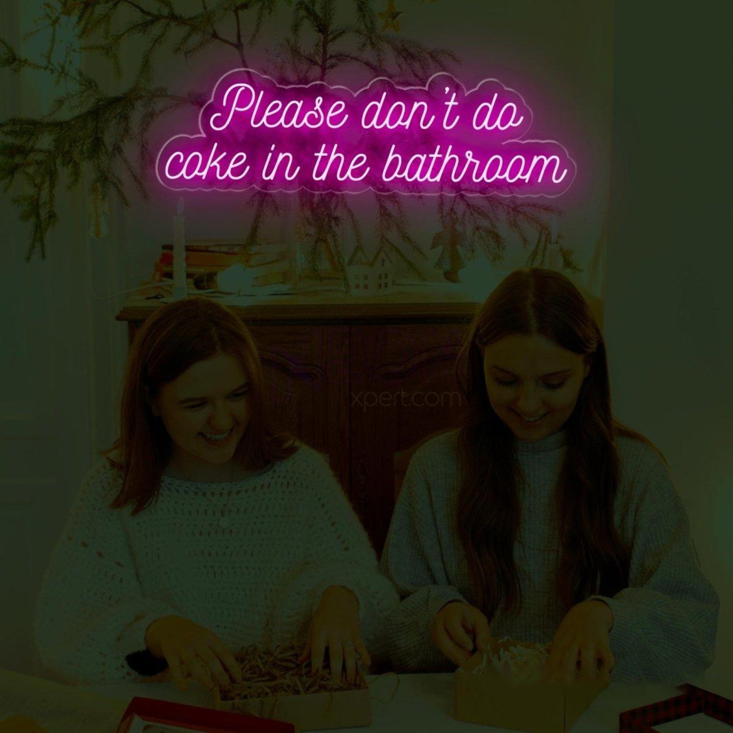 Please Dont Do Coke In The Bathroom Led Neon Sign | Shineneon