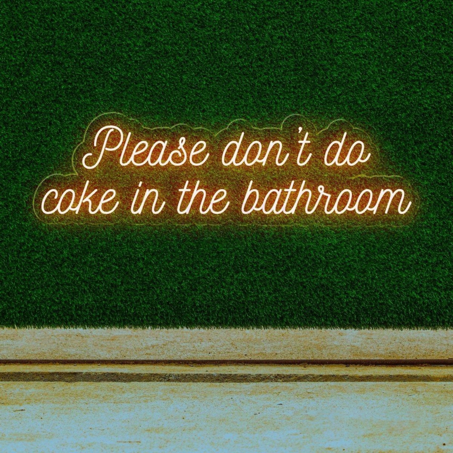 Please Dont Do Coke In The Bathroom Led Neon Sign | Shineneon