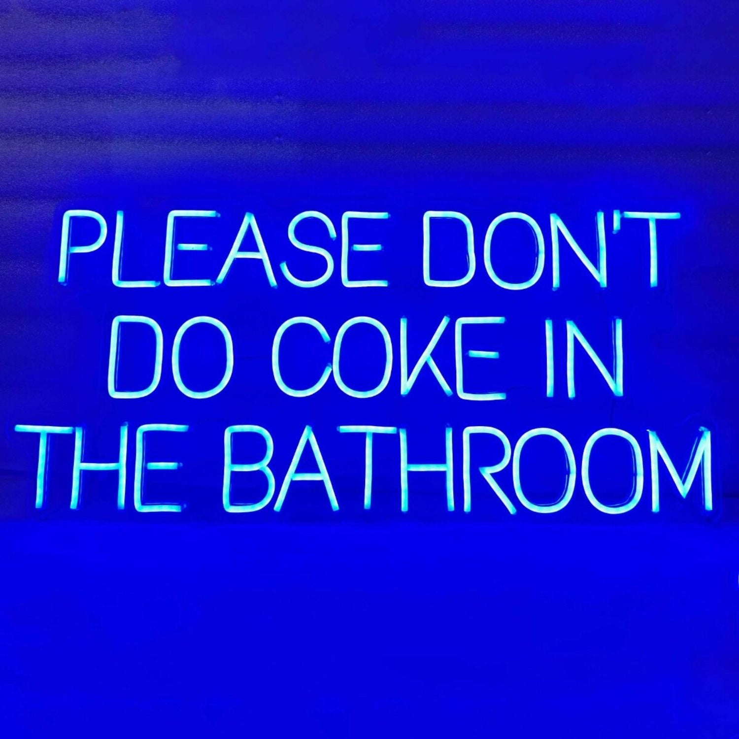 Please Dont Do Coke In The Bathroom Led Neon Sign For Wall | Shineneon