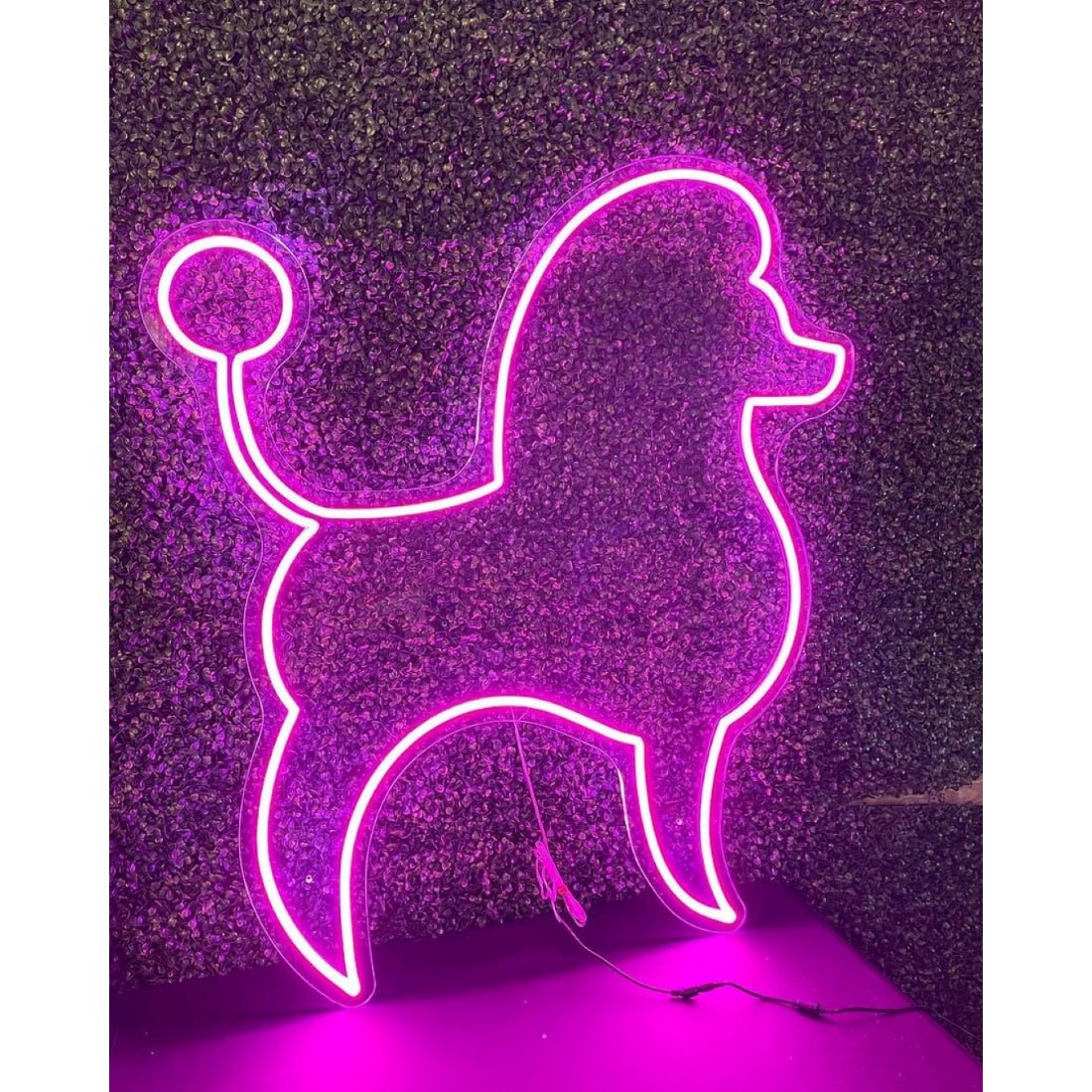 Poodle Led Sign Business Neon Sign - Shineneon