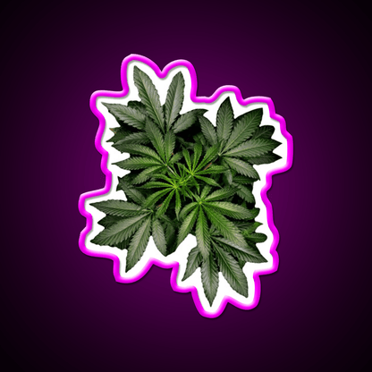 Pot Plant Hemp Inspired Green Leaf Led Neon Sign Rgb Color - Shineneon