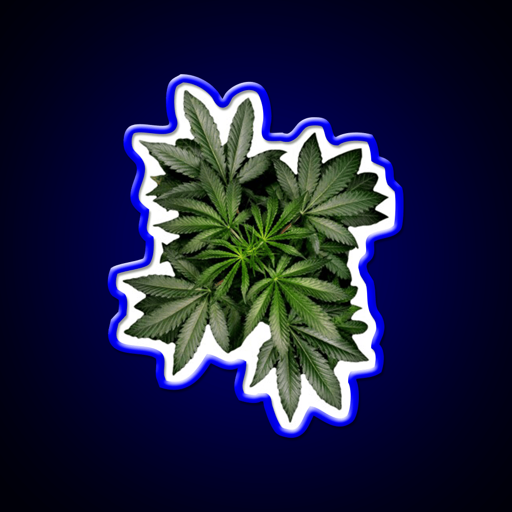 Pot Plant Hemp Inspired Green Leaf Led Neon Sign Rgb Color - Shineneon