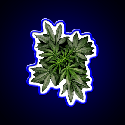 Pot Plant Hemp Inspired Green Leaf Led Neon Sign Rgb Color - Shineneon