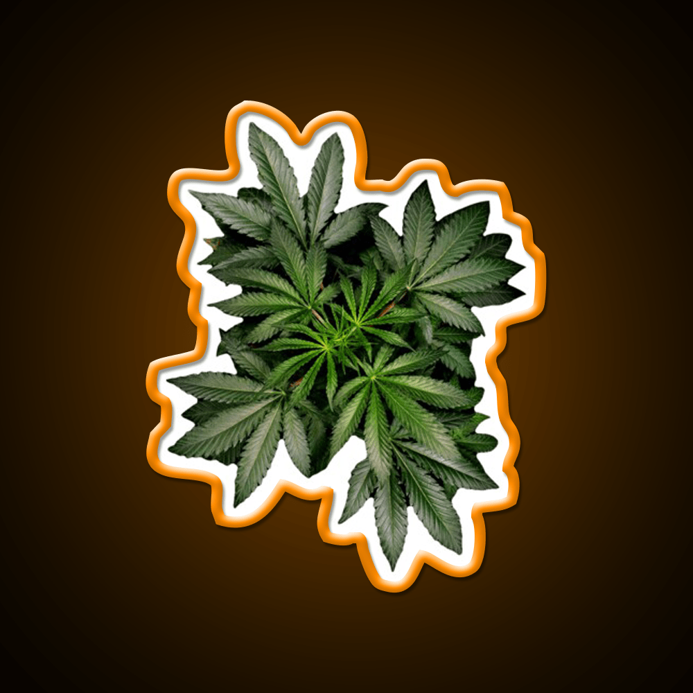 Pot Plant Hemp Inspired Green Leaf Led Neon Sign Rgb Color - Shineneon