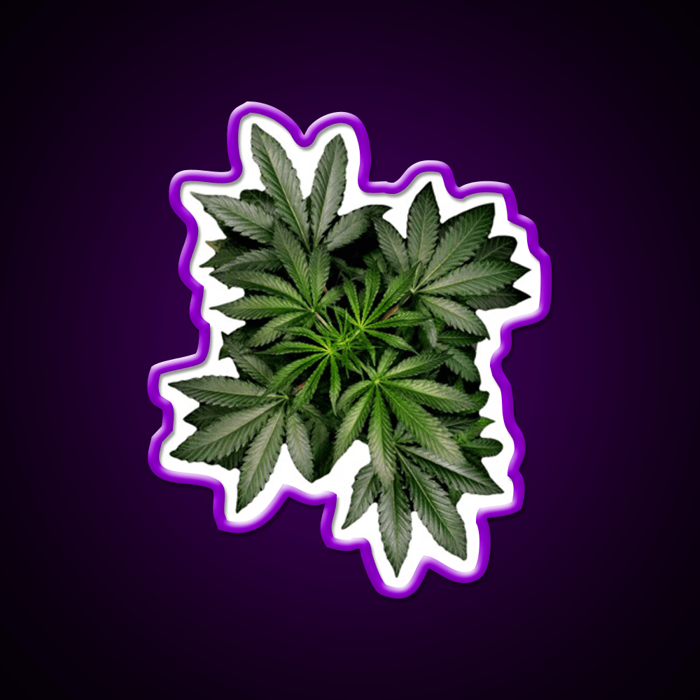 Pot Plant Hemp Inspired Green Leaf Led Neon Sign Rgb Color - Shineneon