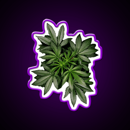 Pot Plant Hemp Inspired Green Leaf Led Neon Sign Rgb Color - Shineneon