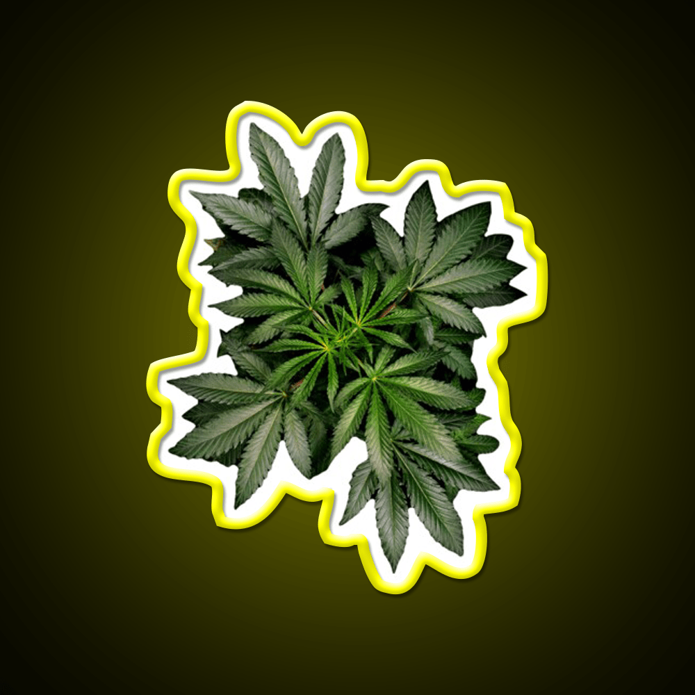 Pot Plant Hemp Inspired Green Leaf Led Neon Sign Rgb Color - Shineneon