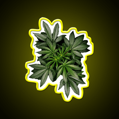 Pot Plant Hemp Inspired Green Leaf Led Neon Sign Rgb Color - Shineneon