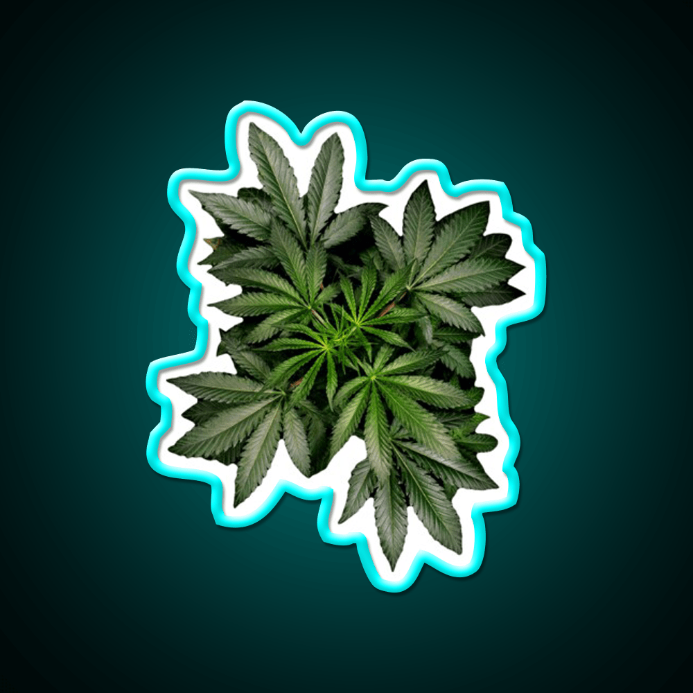 Pot Plant Hemp Inspired Green Leaf Led Neon Sign Rgb Color - Shineneon