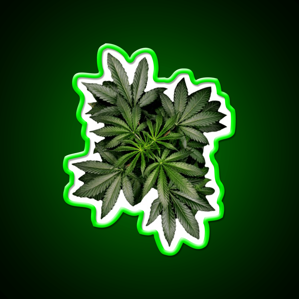 Pot Plant Hemp Inspired Green Leaf Led Neon Sign Rgb Color - Shineneon
