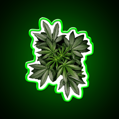 Pot Plant Hemp Inspired Green Leaf Led Neon Sign Rgb Color - Shineneon