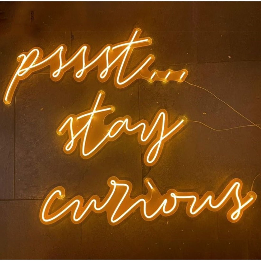 Pssst Stay Curious Led Sign Business Neon Sign - Shineneon