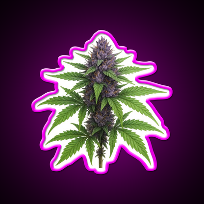 Purple Green Flower Ultra Realistic Detailed Green Leaf Led Neon Sign Rgb Color - Neon sign mounted on wall in room