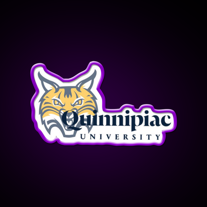 Quinnipiac Bobcat Beer Bar Decor Led Neon Sign Rgb Color - LED neon sign view 9