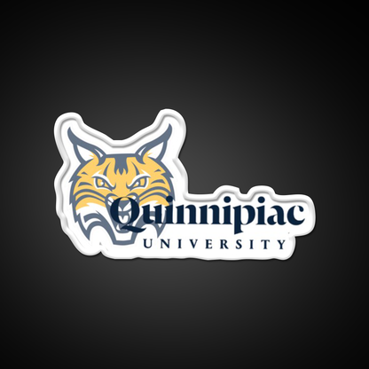 Quinnipiac Bobcat Beer Bar Decor Led Neon Sign Rgb Color - LED neon sign view 11