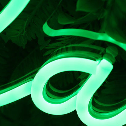 Raynie Green Led Neon Sign - Shineneon