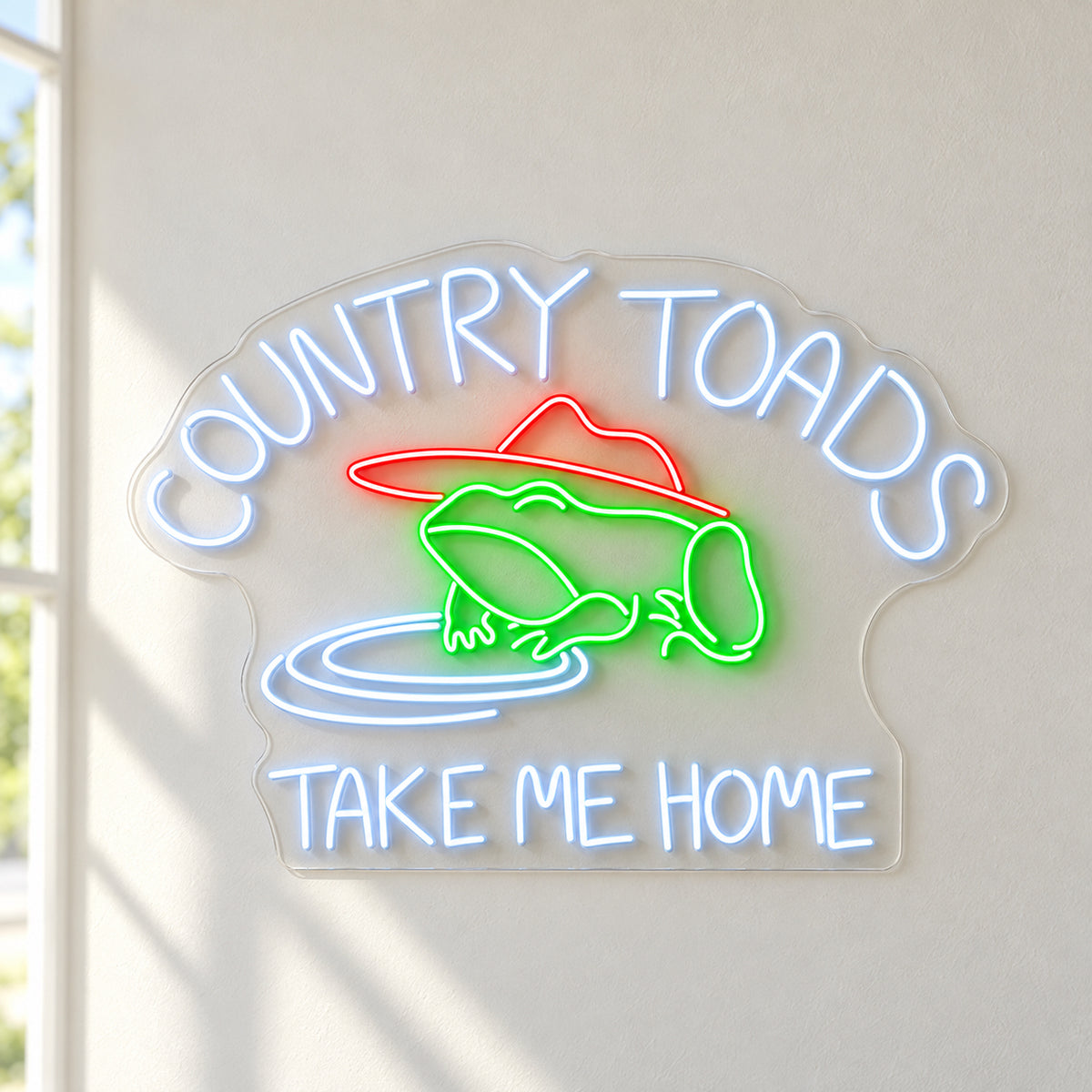 Country Toads Take Me Home LED Neon Sign - natural light view