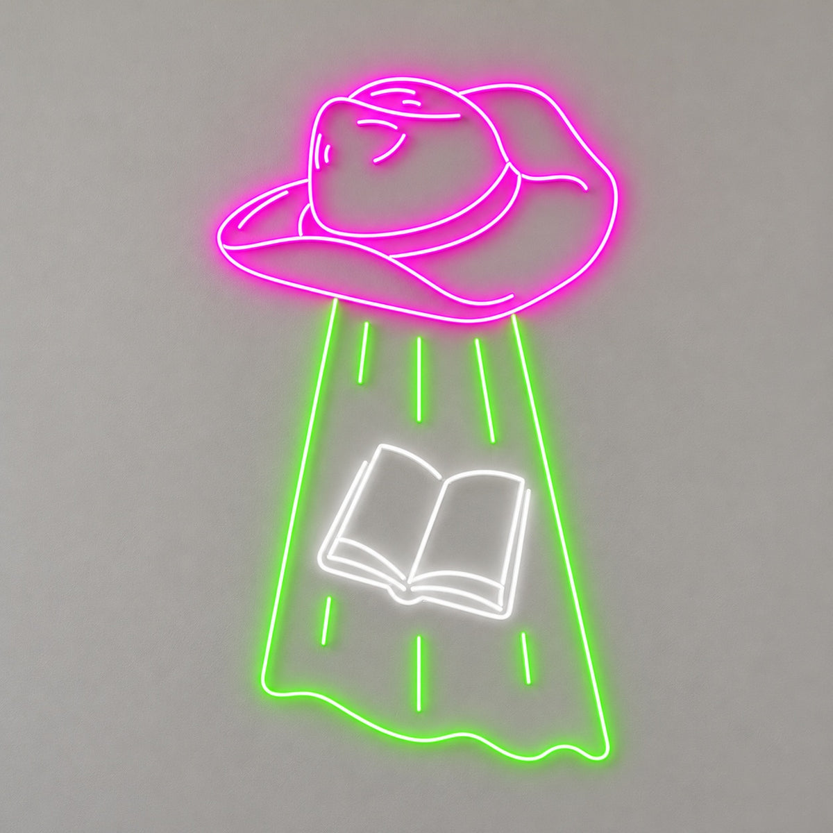 Cowboy Hat UFO Abducting Book LED Neon Sign - natural light view