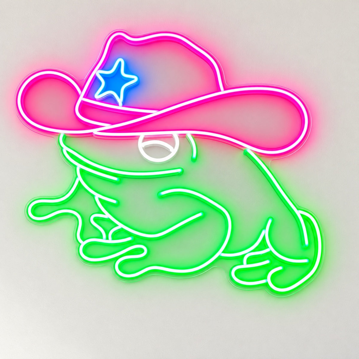 Frog with Star Hat LED Neon Sign - natural light view