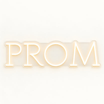 Prom LED Neon Sign - natural light view