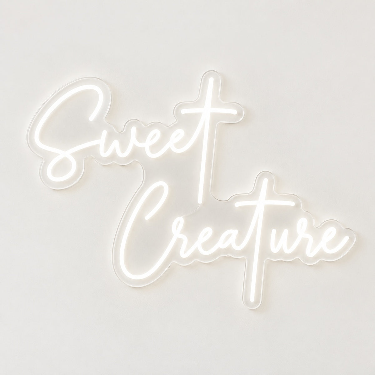 Sweet Creature LED Neon Sign - natural light view