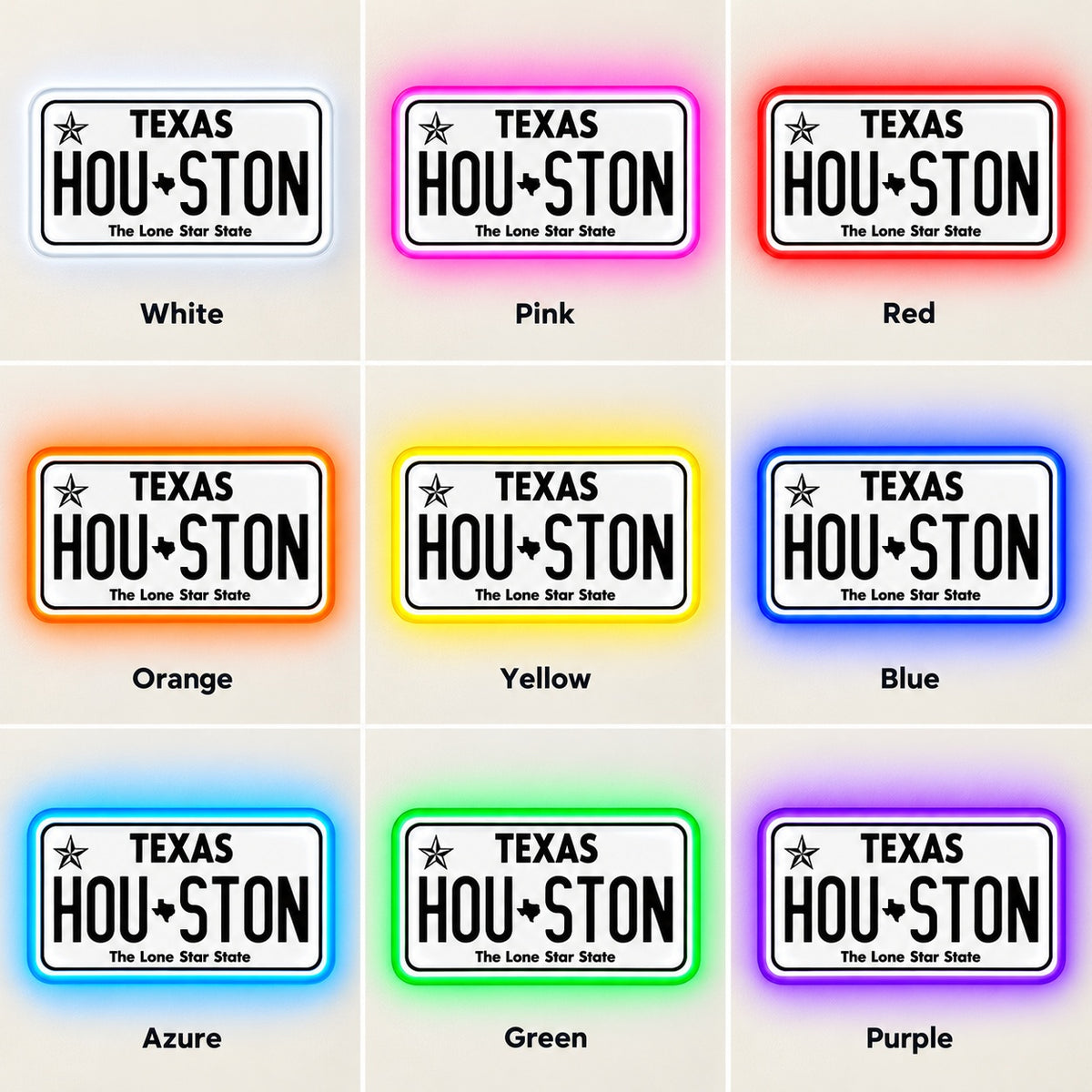 Texas Houston The Lone Star State LED Neon Sign - nine-color grid