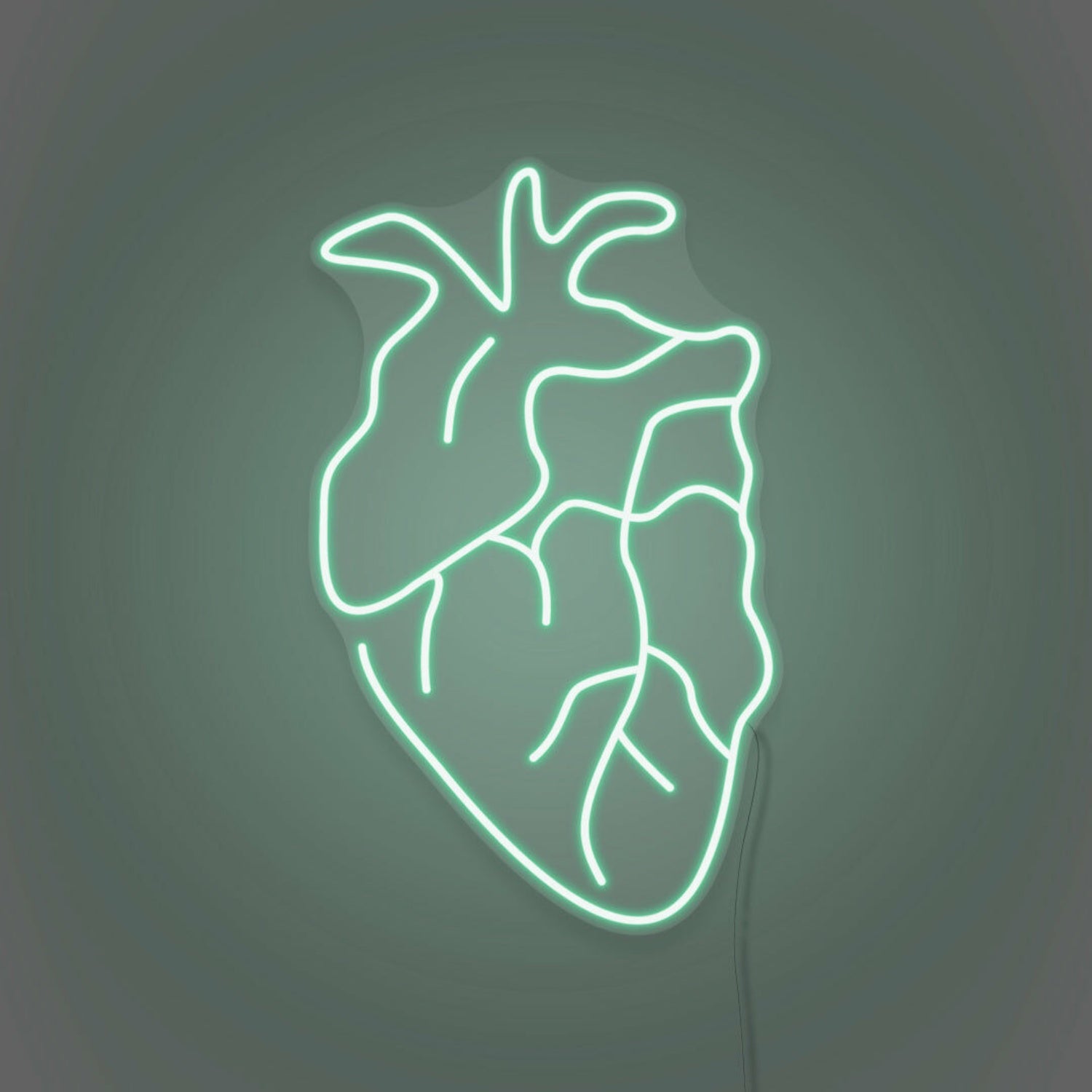 Realistic Heart Led Neon Sign | Shineneon