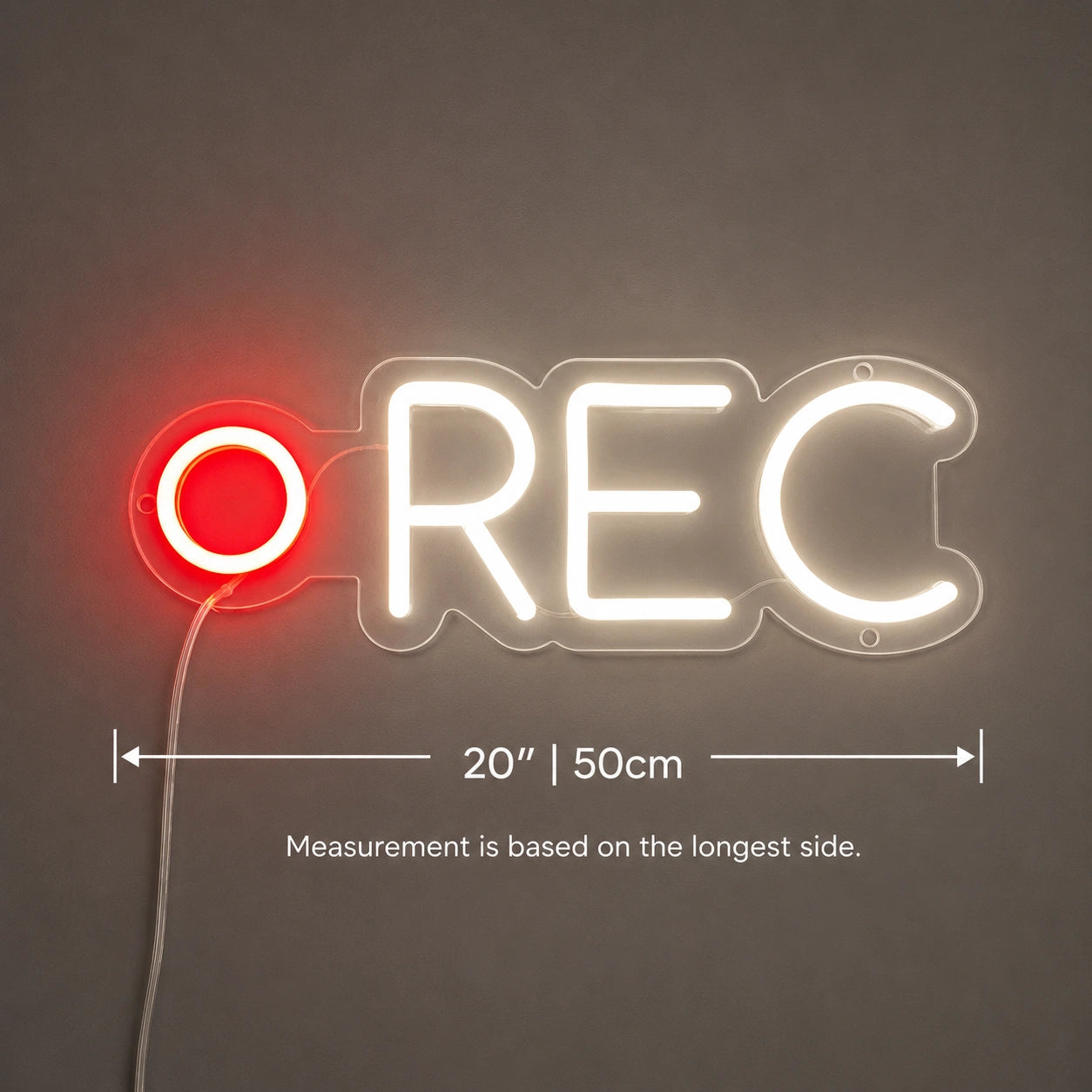 Recording Light Neon Sign LED Neon Sign size image