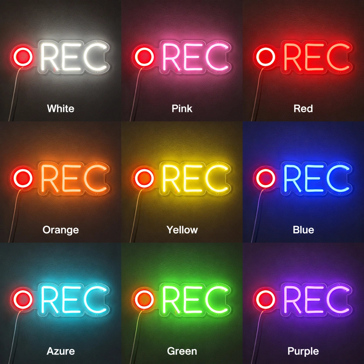 Recording Light Neon Sign LED Neon Sign color grid