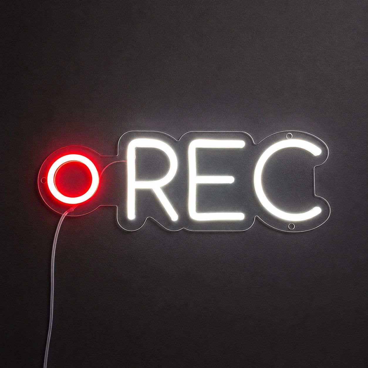 Recording Light Neon Sign LED Neon Sign main product image
