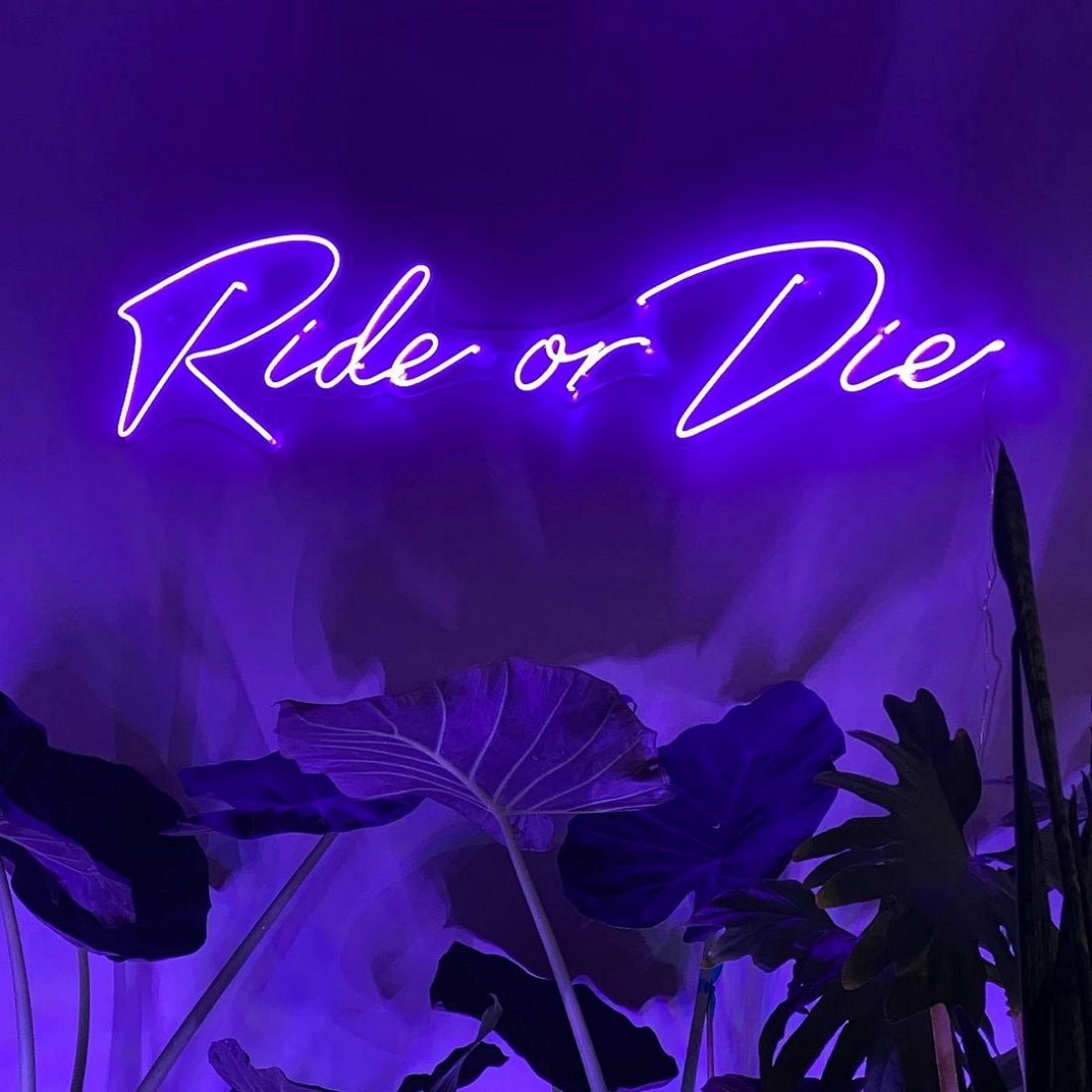 Ride Or Die Led Sign Business Neon Sign - Shineneon