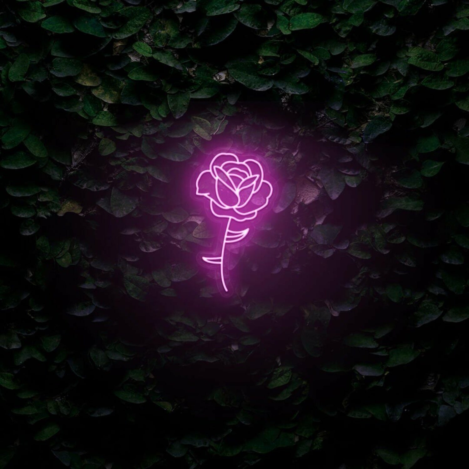 Rose Led Neon Sign | Shineneon