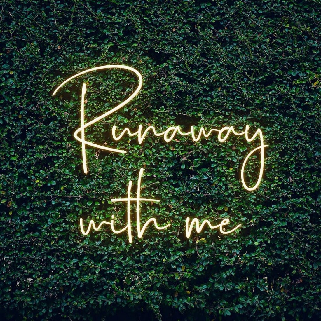 Runaway With Me Led Sign Business Neon Sign - Shineneon