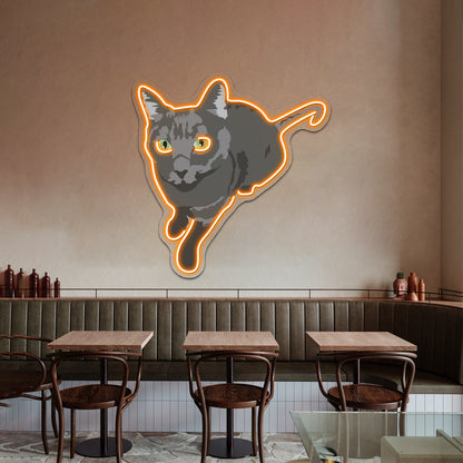 Russian Blue Cat Artwork Led Neon Signs