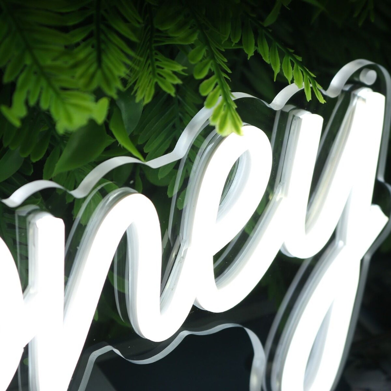 Sage Honey White Led Neon Sign - Shineneon