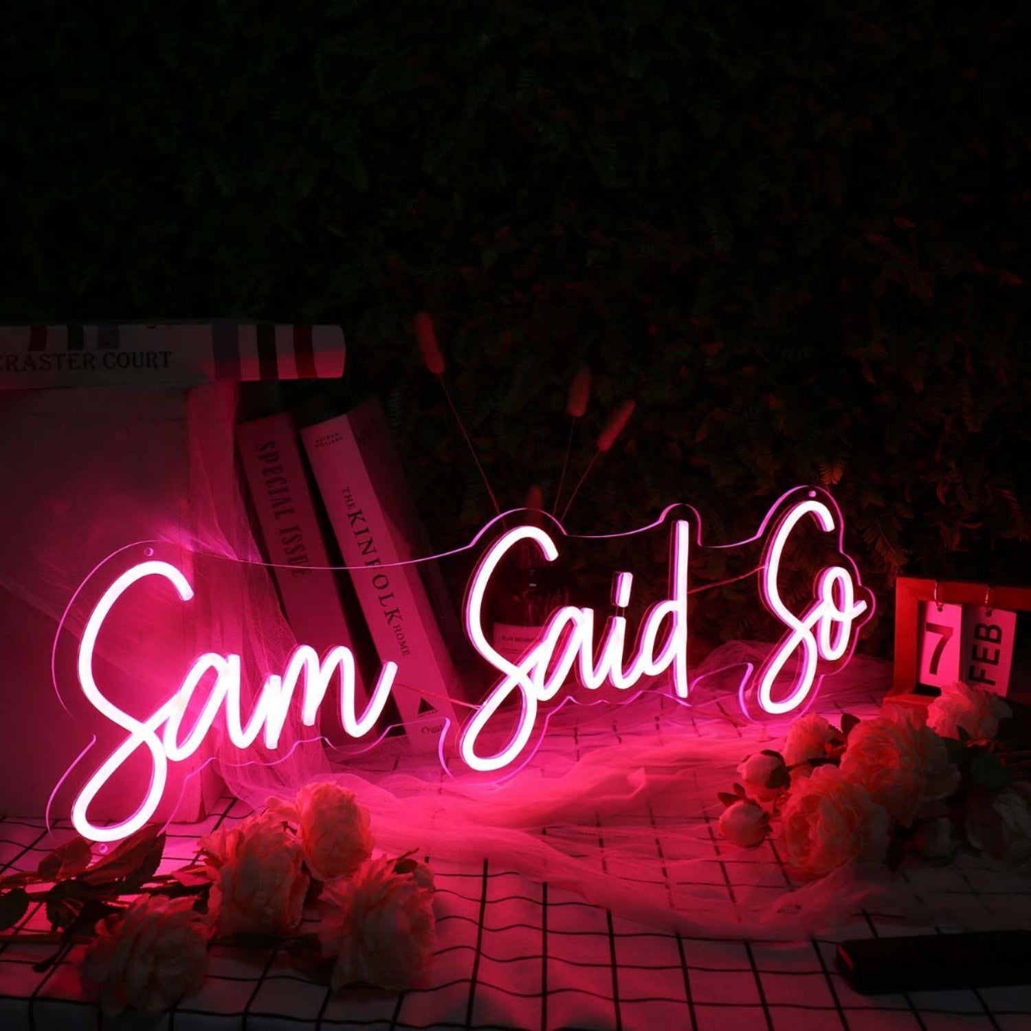 Sam Said So Red Led Neon Sign - Shineneon