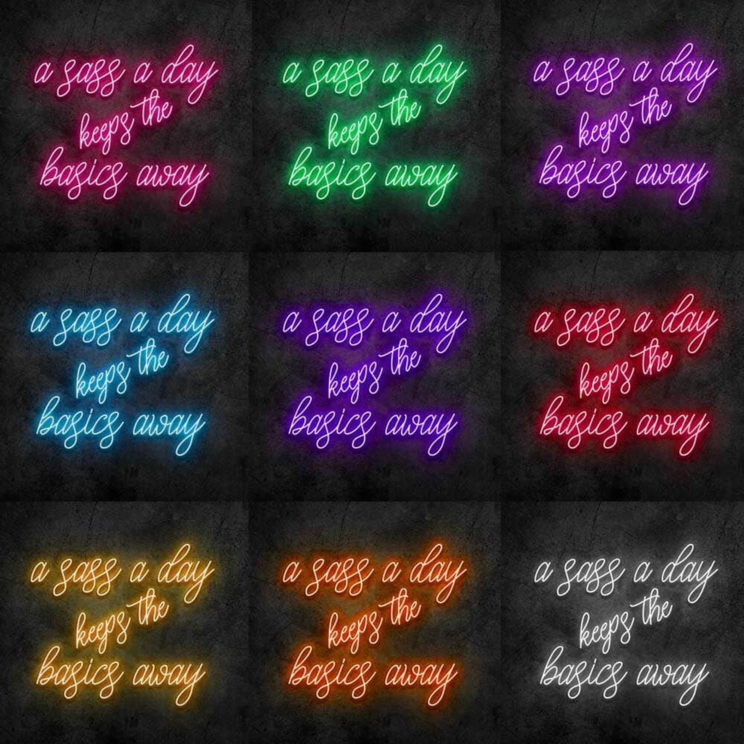 Sass A Day Led Neon Sign - Shineneon